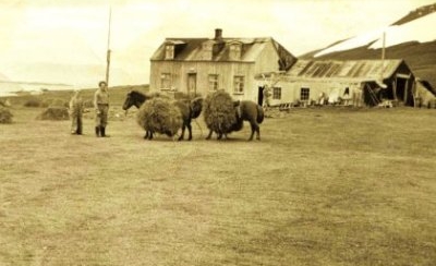 Una&eth;sdalur, Sn&aelig;fjallahr.