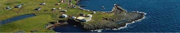 Gr&iacute;mseyjarhreppur